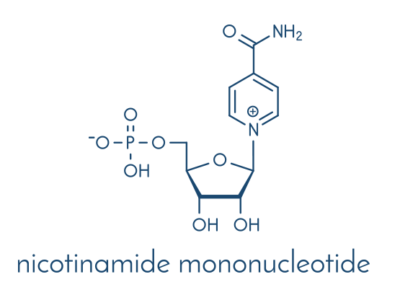 NMN là tiền thân của nicotinamide adenine dinucleotide (NAD+) FDA: B-NMN không thể được bán dưới dạng thực phẩm bổ sung ở Hoa Kỳ nữa